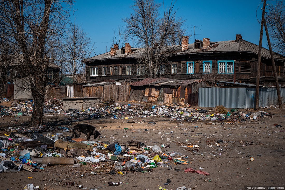 Фото помойки в городе