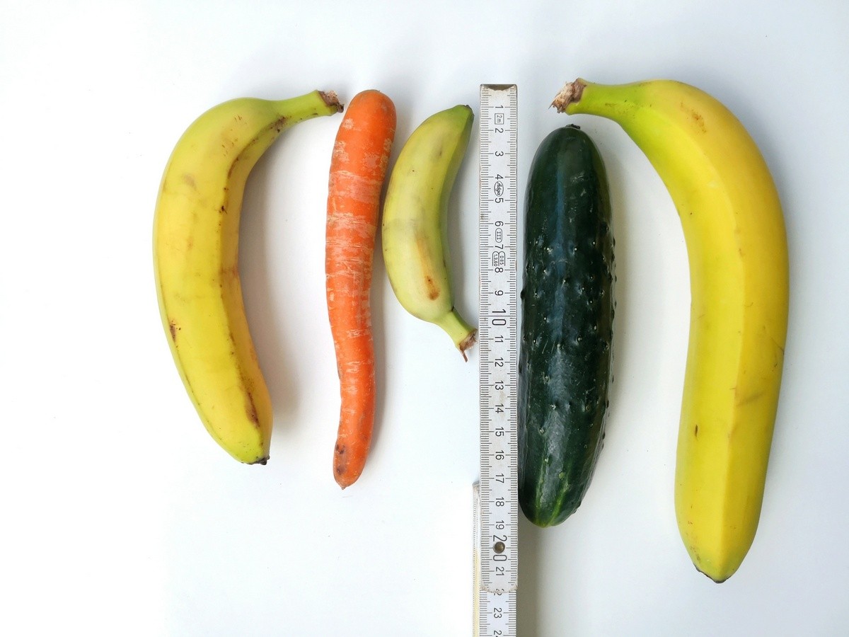 Photo of different penises